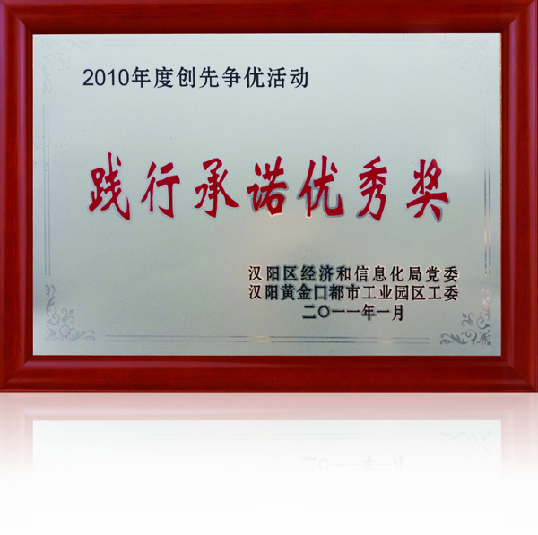 齊達(dá)康-踐行承諾優(yōu)秀獎(jiǎng)