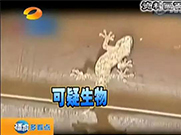 萬能的朋友圈，如果你能解釋通這組圖；凈水設(shè)備就可以不要了